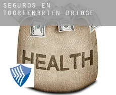 Seguros en Tooreenbrien Bridge