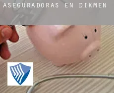 Aseguradoras en  Dikmen