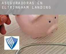 Aseguradoras en  Eltringham Landing