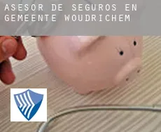 Asesor de seguros en  Gemeente Woudrichem