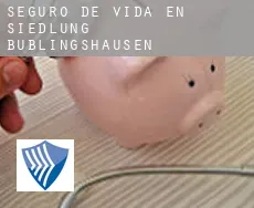 Seguro de vida en  Siedlung Büblingshausen