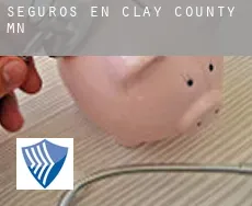 Seguros en  Clay County
