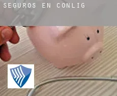 Seguros en  Conlig