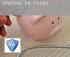 Seguros en  Fieno