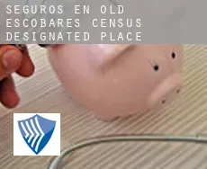 Seguros en Old Escobares