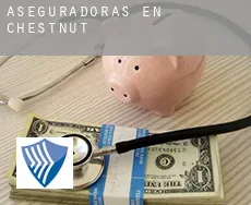 Aseguradoras en  Chestnut