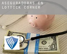 Aseguradoras en  Lottick Corner