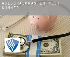 Aseguradoras en West Sumner
