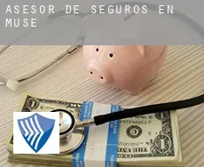 Asesor de seguros en  Muse