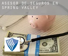 Asesor de seguros en  Spring Valley