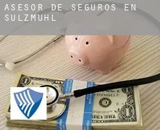 Asesor de seguros en  Sulzmühl