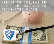 Asesor de seguros en  West Kootenai