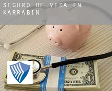 Seguro de vida en  Karrabin