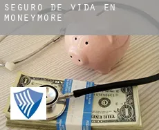 Seguro de vida en Moneymore