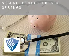 Seguro dental en Gum Springs