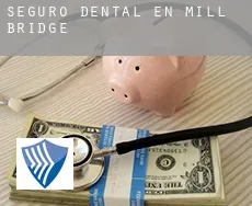 Seguro dental en Mill Bridge