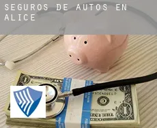 Seguros de autos en  Alice
