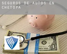 Seguros de autos en  Chetopa