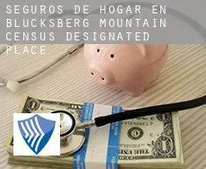 Seguros de hogar en  Blucksberg Mountain
