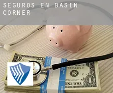 Seguros en  Basin Corner