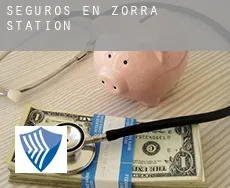 Seguros en  Zorra Station