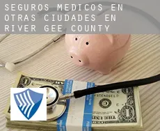 Seguros medicos en  Otras ciudades en River Gee County