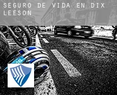 Seguro de vida en  Dix-Leeson