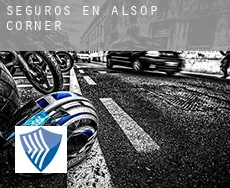 Seguros en  Alsop Corner