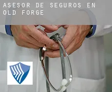 Asesor de seguros en  Old Forge