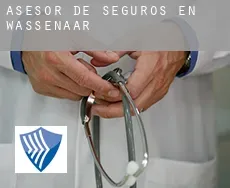 Asesor de seguros en  Wassenaar