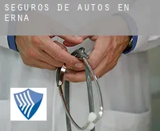 Seguros de autos en  Erna
