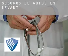 Seguros de autos en  Levant