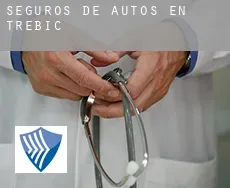 Seguros de autos en  Třebíč