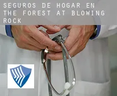Seguros de hogar en The Forest at Blowing Rock