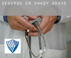 Seguros en  Shady Grove