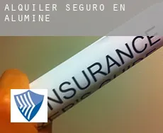 Alquiler seguro en  Aluminé