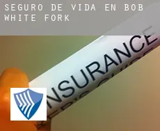Seguro de vida en  Bob White Fork
