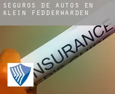 Seguros de autos en  Klein Fedderwarden
