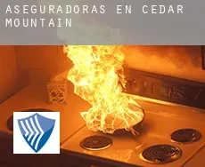 Aseguradoras en  Cedar Mountain