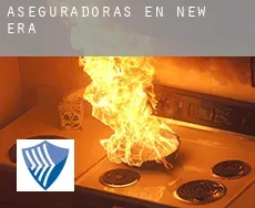 Aseguradoras en  New Era