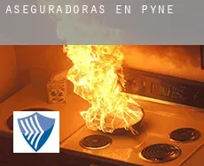 Aseguradoras en  Pyne