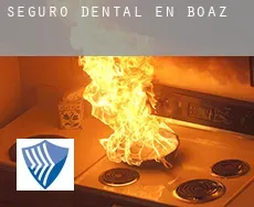 Seguro dental en  Boaz