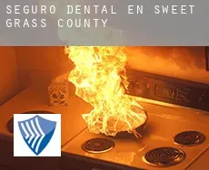 Seguro dental en Sweet Grass County