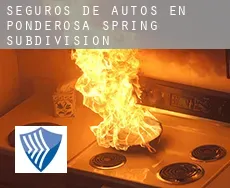 Seguros de autos en  Ponderosa Spring Subdivision