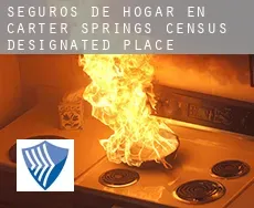 Seguros de hogar en  Carter Springs