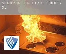 Seguros en  Clay County