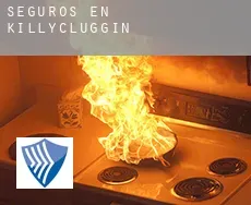 Seguros en  Killycluggin