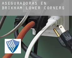 Aseguradoras en Brixham Lower Corners