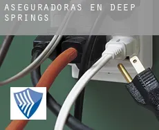 Aseguradoras en  Deep Springs