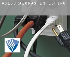 Aseguradoras en  Espino